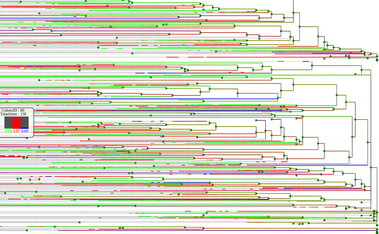 The augmented lineage tree visualisation