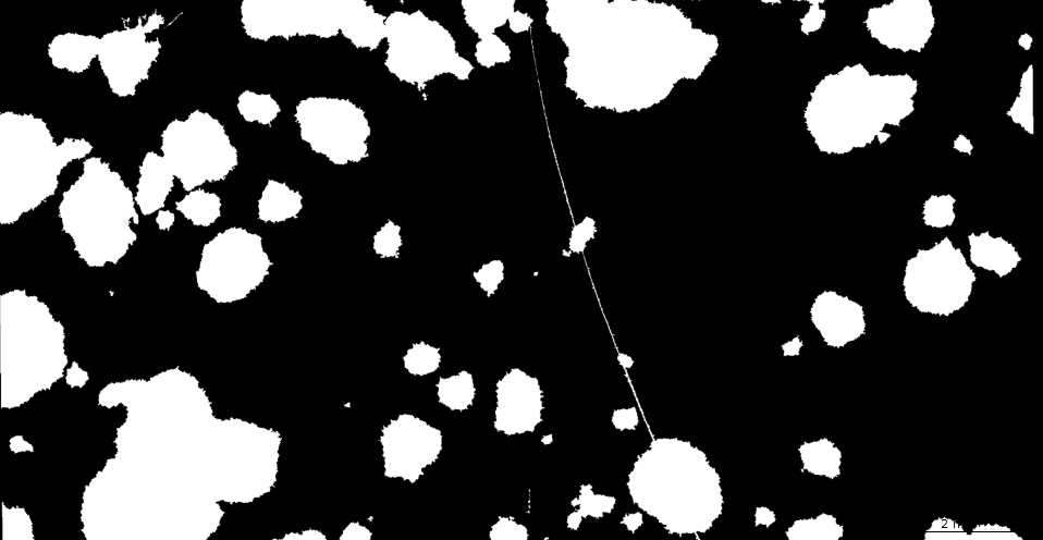 segmentation of a scratch across colonies screenshot