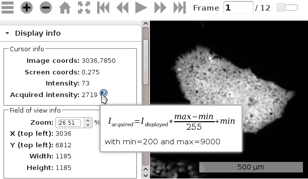Display info module screenshot