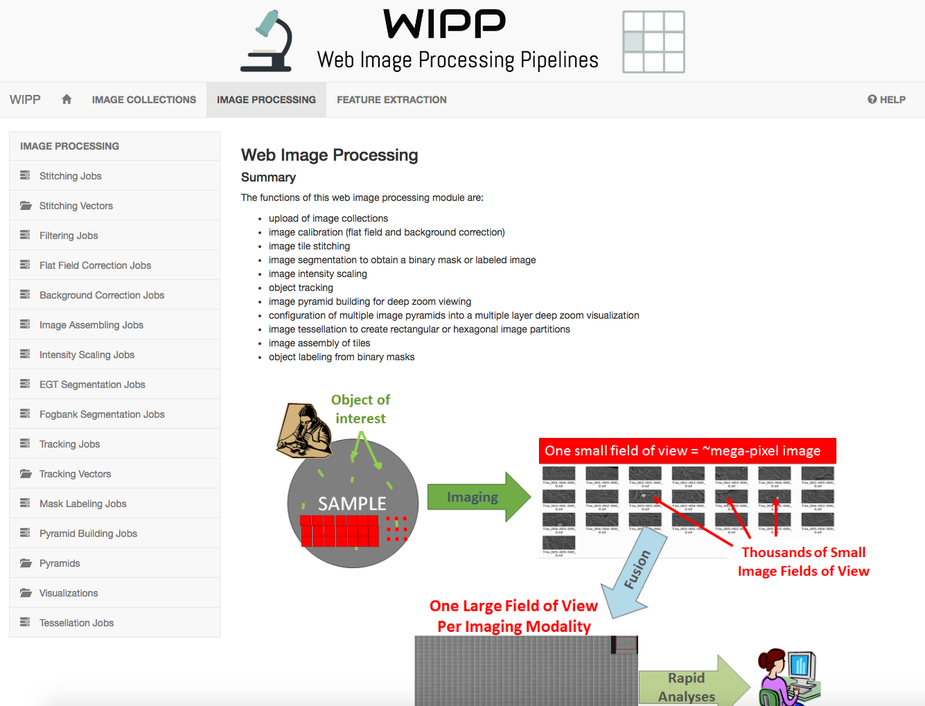 WIPP Image Processing module screenshot